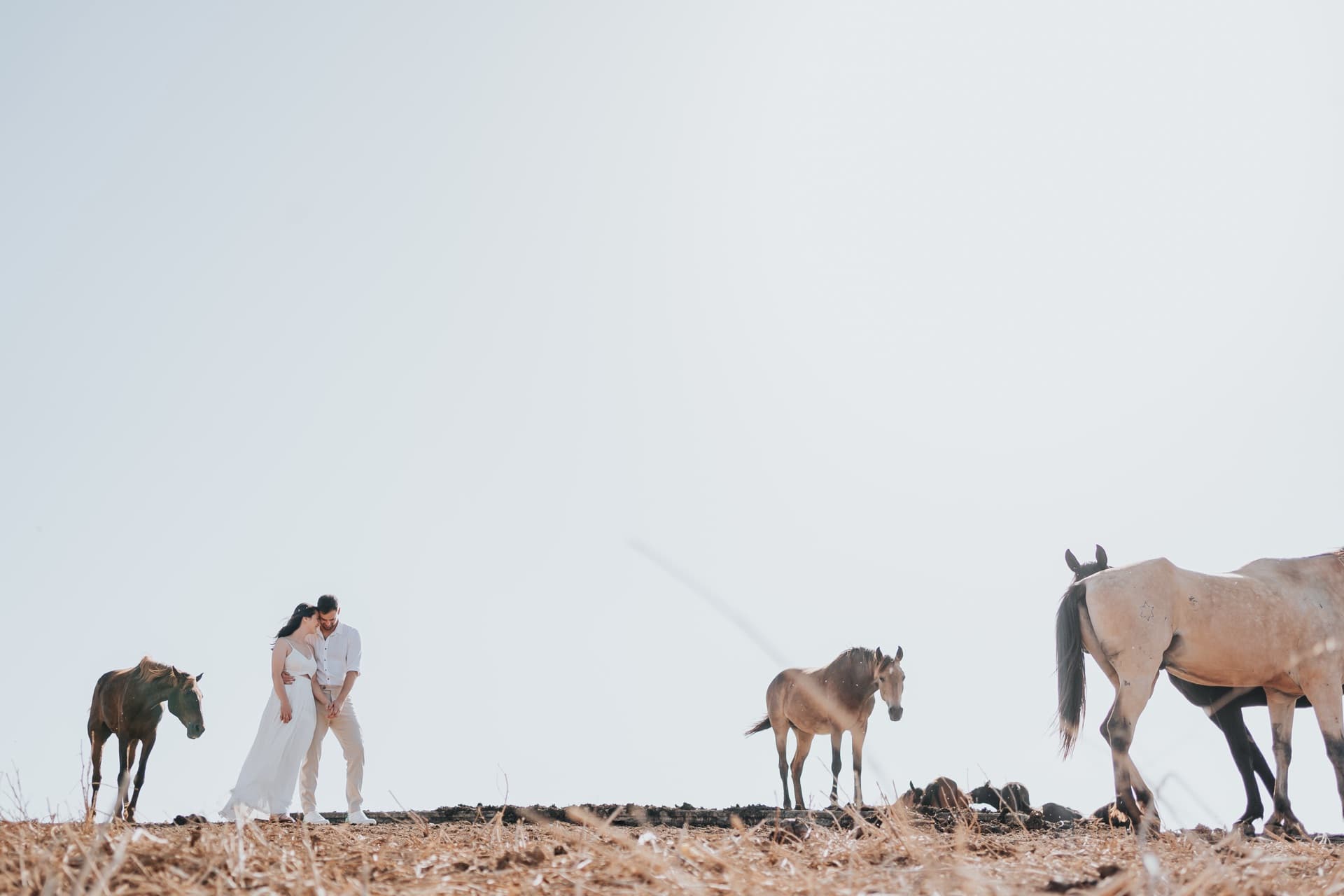 הזוג והסוסים בקו הרקיע