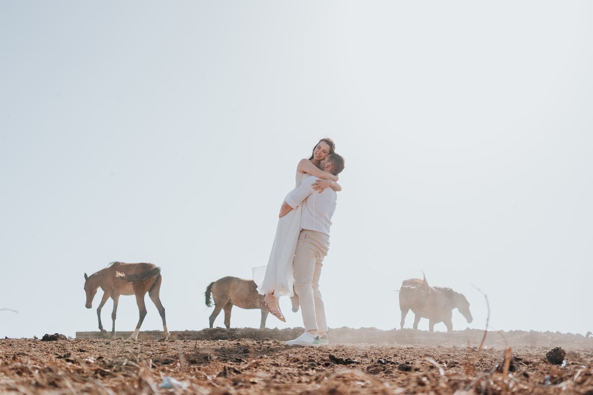 חיבוק בלב עדר הסוסים