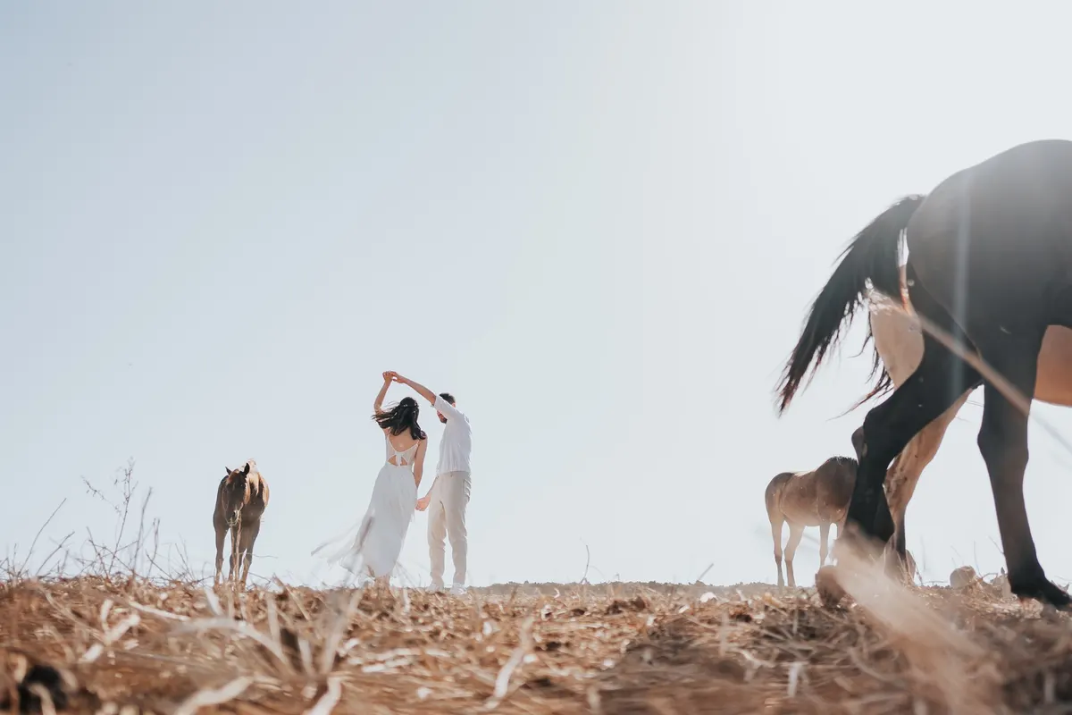 ריקוד בין הסוסים בשדה הפתוח